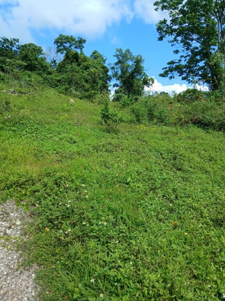 First image of 17a&18a Maderia Road Grovemount in Grove Mount, Manchester, Jamaica - property is For Sale
