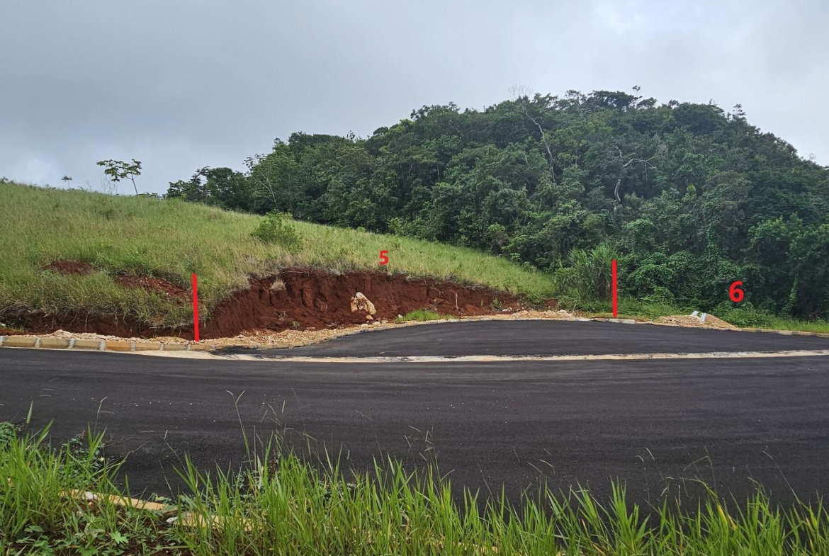 Eleventh image of Lot 5 Holidazia Mandeville in Mandeville, Manchester, Jamaica - property is For Sale