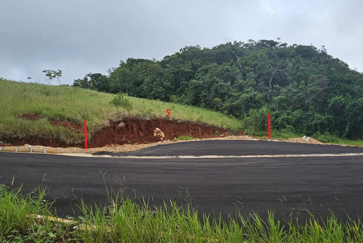 Sixth image of Lot 5 Holidazia Mandeville in Mandeville, Manchester, Jamaica - property is For Sale