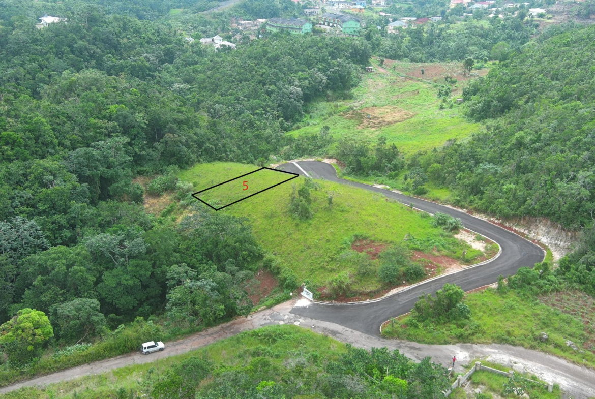 Eighth image of Lot 5 Holidazia Mandeville in Mandeville, Manchester, Jamaica - property is For Sale