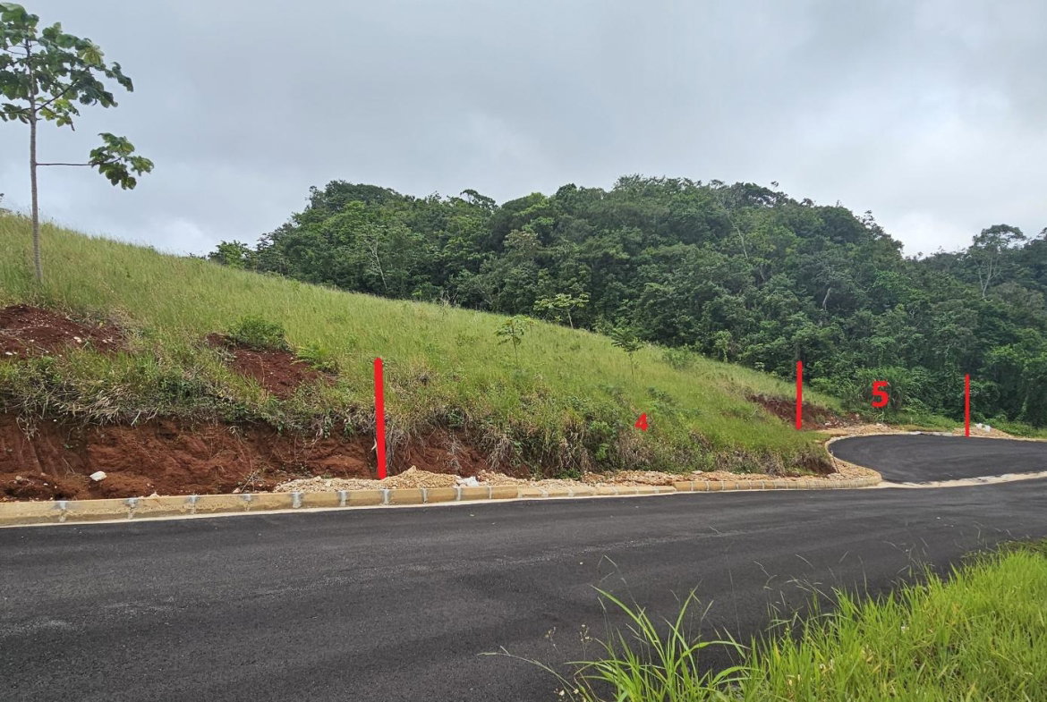 Tenth image of Lot 5 Holidazia Mandeville in Mandeville, Manchester, Jamaica - property is For Sale