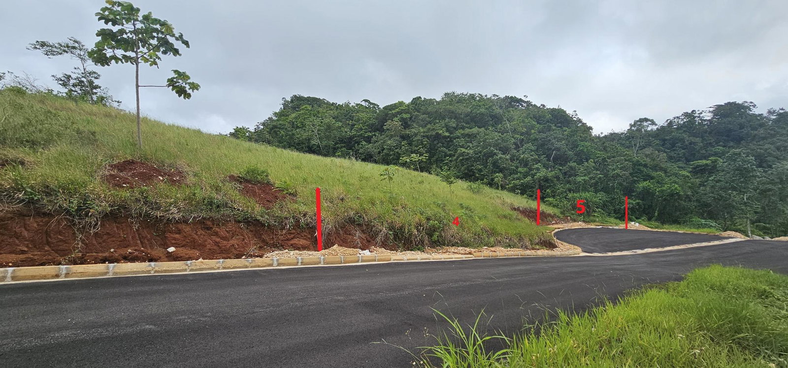 Residential-Lot-for-Sale-in-Mandeville-Jamaica-Lot-5-Holidazia Tenth image of Lot 5 Holidazia Mandeville in Mandeville, Manchester, Jamaica - property is For Sale