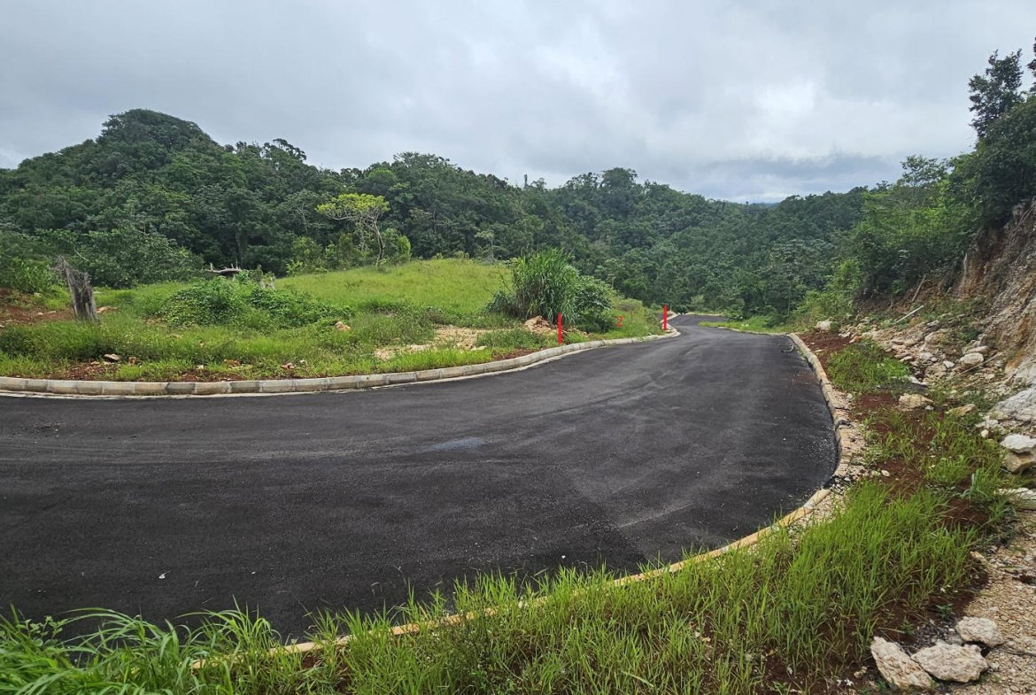 Fifth image of Lot 2 Holidazia Mandeville in Mandeville, Manchester, Jamaica - property is For Sale
