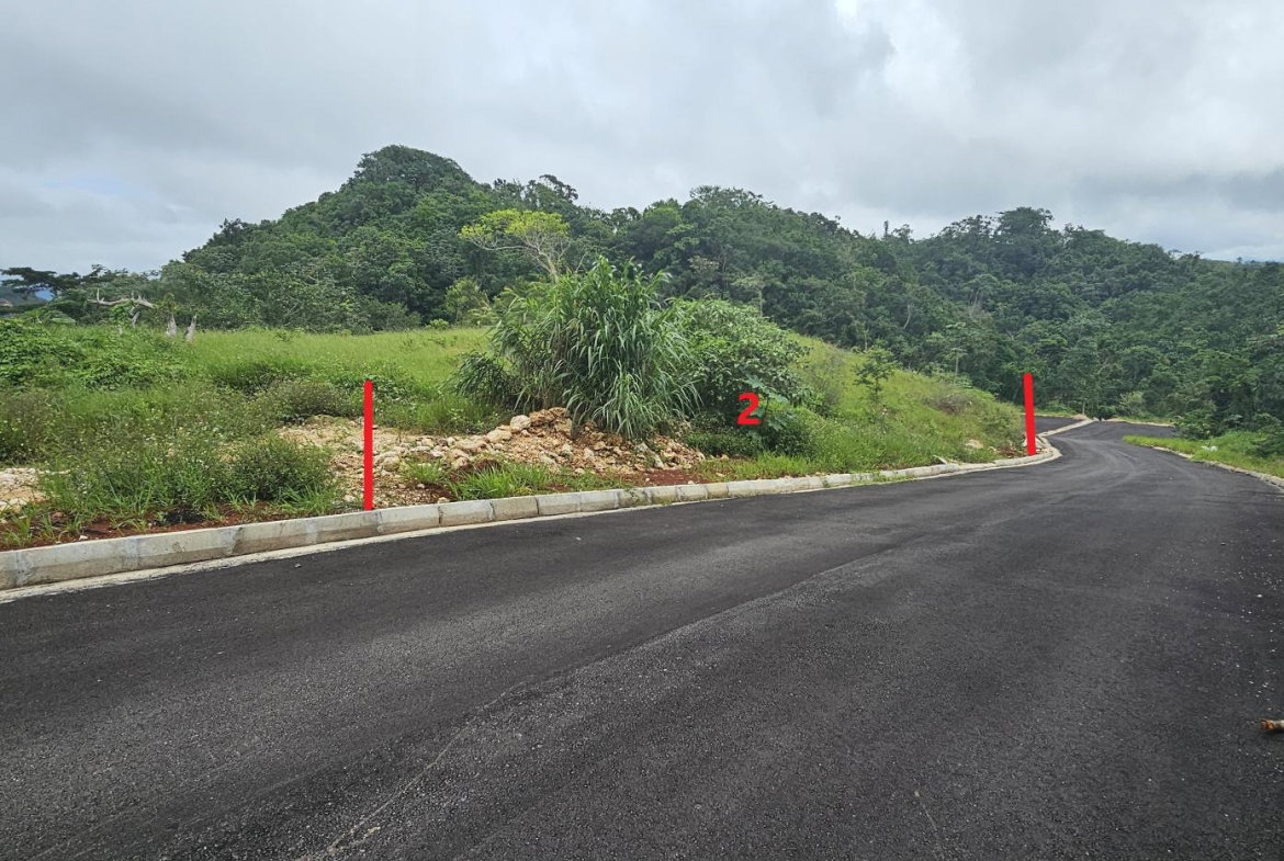 Eighth image of Lot 2 Holidazia Mandeville in Mandeville, Manchester, Jamaica - property is For Sale