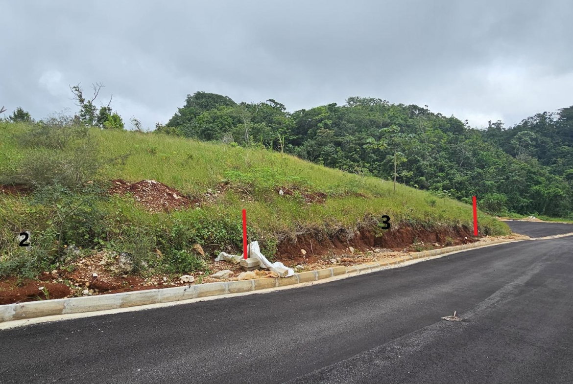 Ninth image of Lot 2 Holidazia Mandeville in Mandeville, Manchester, Jamaica - property is For Sale