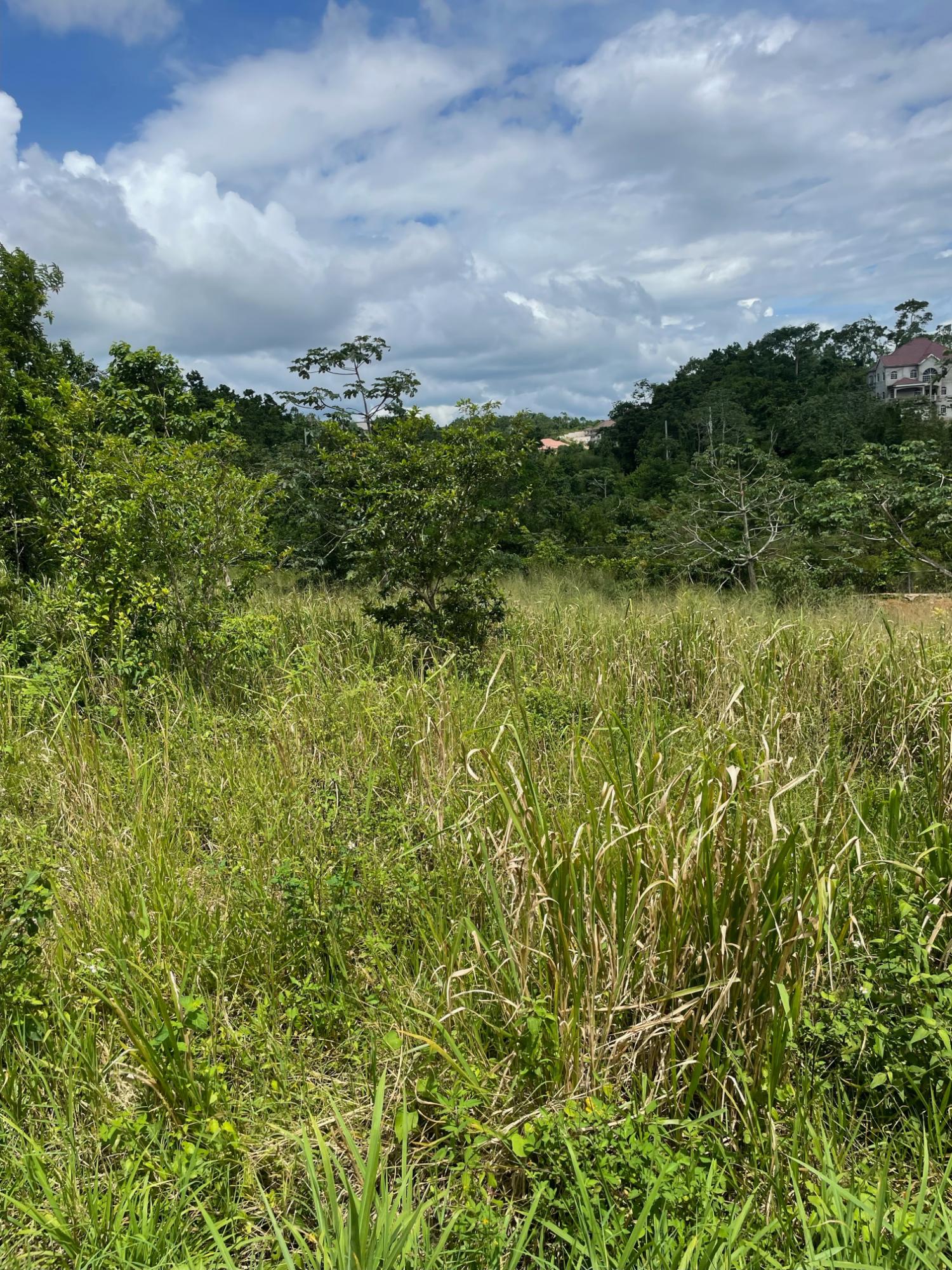 Eleventh image of Lot-278 Moorlands Manor in Mandeville, Manchester, Jamaica - property is For Sale