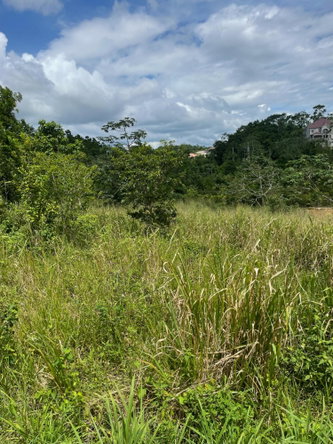 Eleventh image of Lot-278 Moorlands Manor in Mandeville, Manchester, Jamaica - property is For Sale