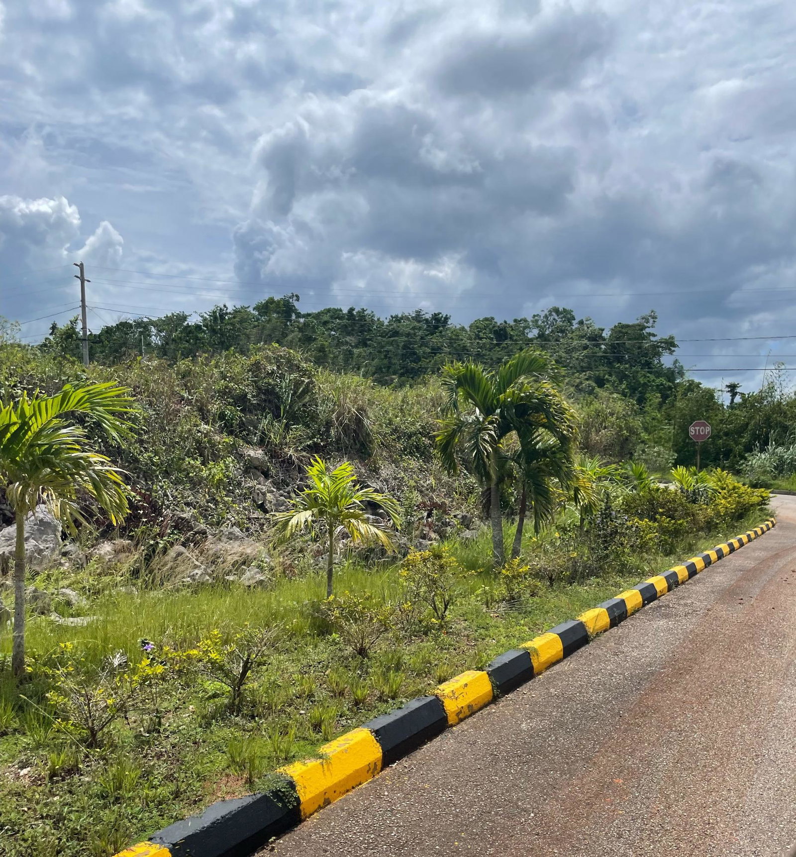 Fourth image of Lot-278 Moorlands Manor in Mandeville, Manchester, Jamaica - property is For Sale