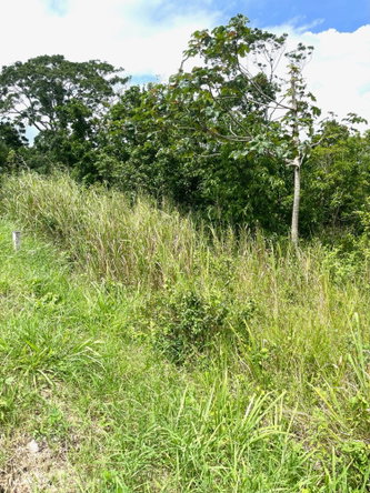 Sixth image of Lot-278 Moorlands Manor in Mandeville, Manchester, Jamaica - property is For Sale