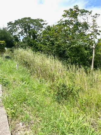 Seventh image of Lot-278 Moorlands Manor in Mandeville, Manchester, Jamaica - property is For Sale