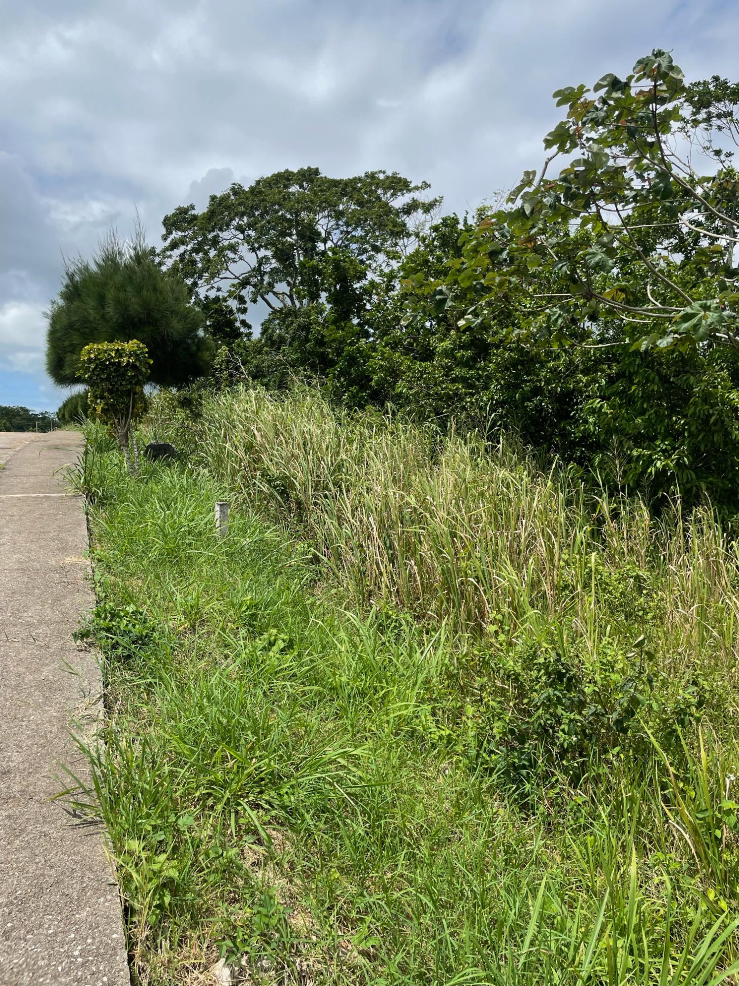 Eighth image of Lot-278 Moorlands Manor in Mandeville, Manchester, Jamaica - property is For Sale