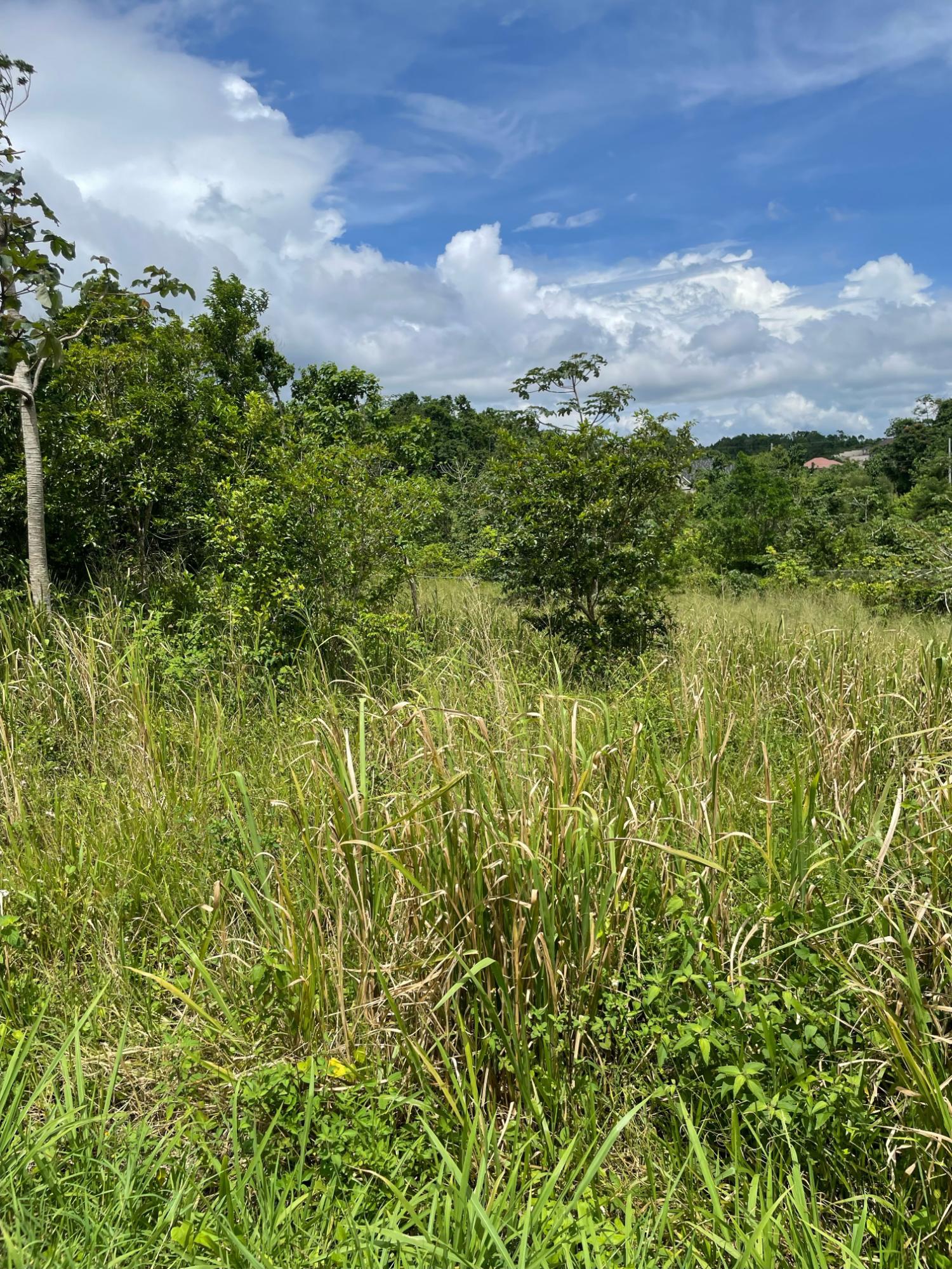 Ninth image of Lot-278 Moorlands Manor in Mandeville, Manchester, Jamaica - property is For Sale