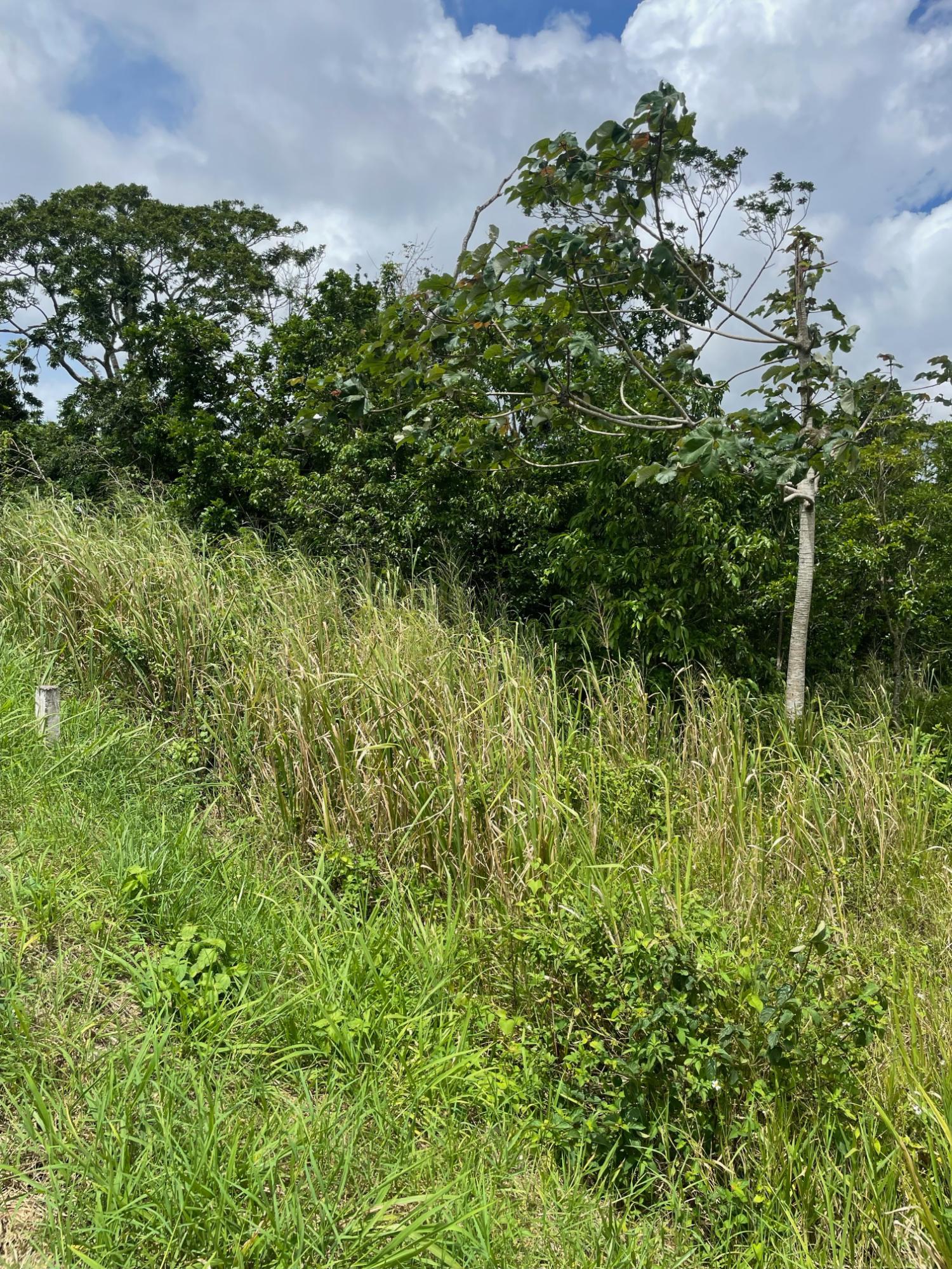 Tenth image of Lot-278 Moorlands Manor in Mandeville, Manchester, Jamaica - property is For Sale