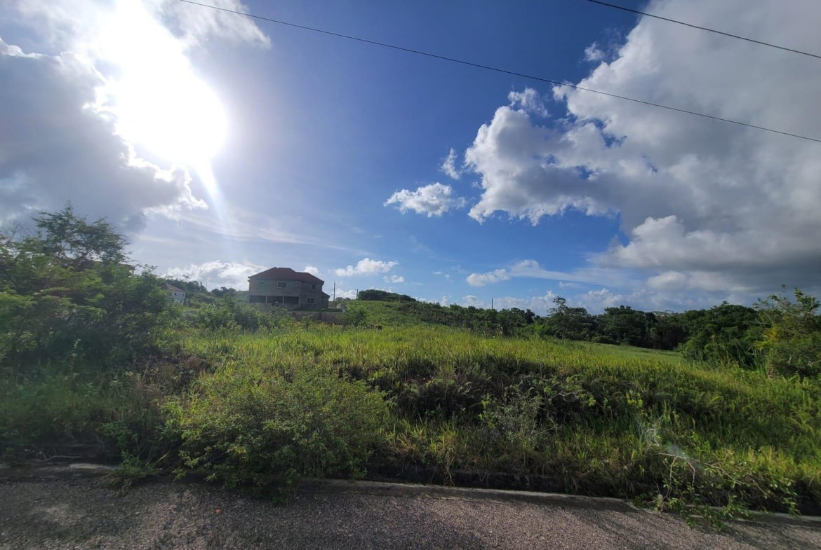 First image of New Wales in New Whales, Manchester, Jamaica - property is For Sale