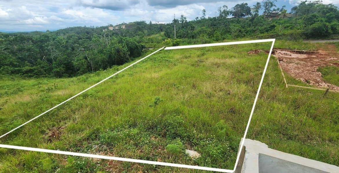 Fifth image of New Wales in New Whales, Manchester, Jamaica - property is For Sale