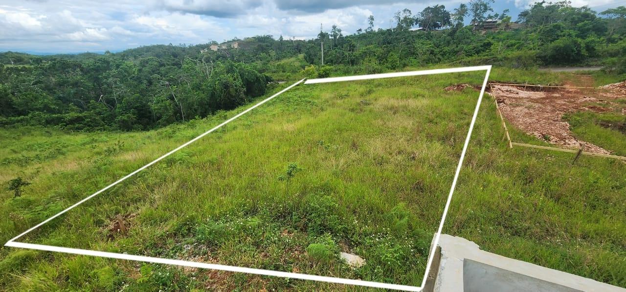 Residential-Lot-for-Sale-in-New-Wales-Manchester-Build-Your-Dream-Home Fifth image of New Wales in New Whales, Manchester, Jamaica - property is For Sale