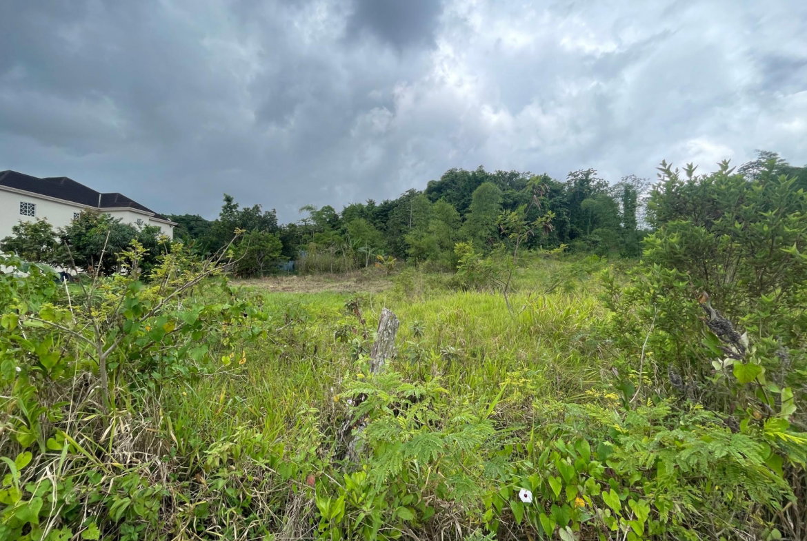 First image of 342 Newark Grove, Spur Tree in Spur Tree, Manchester, Jamaica - property is For Sale