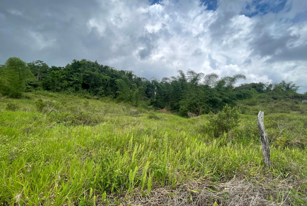 Fourth image of 342 Newark Grove, Spur Tree in Spur Tree, Manchester, Jamaica - property is For Sale