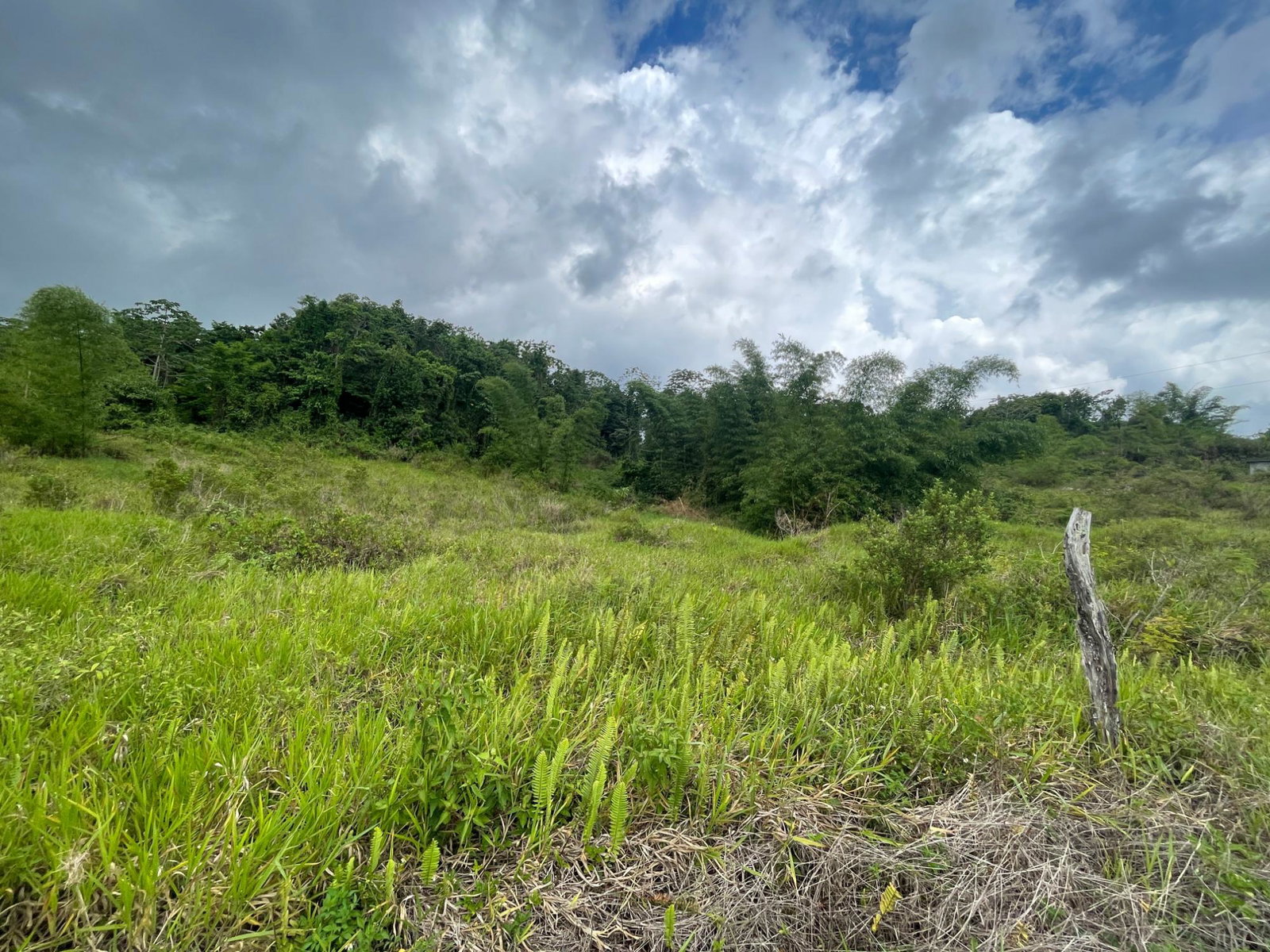 Residential-Lot-for-Sale-in-Newark-Estate-Manchester-Build-Your-Dream-Home Fourth image of 342 Newark Grove, Spur Tree in Spur Tree, Manchester, Jamaica - property is For Sale