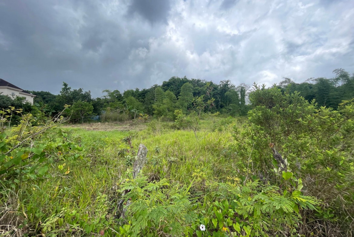 Fifth image of 342 Newark Grove, Spur Tree in Spur Tree, Manchester, Jamaica - property is For Sale