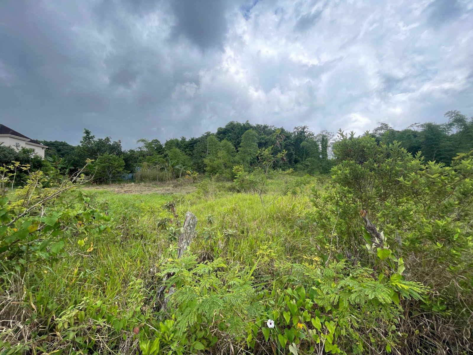 Residential-Lot-for-Sale-in-Newark-Estate-Manchester-Build-Your-Dream-Home Fifth image of 342 Newark Grove, Spur Tree in Spur Tree, Manchester, Jamaica - property is For Sale