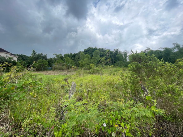 Fifth image of 342 Newark Grove, Spur Tree in Spur Tree, Manchester, Jamaica - property is For Sale