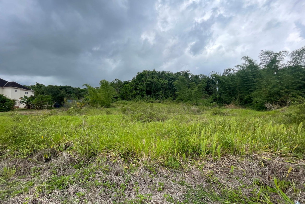 Sixth image of 342 Newark Grove, Spur Tree in Spur Tree, Manchester, Jamaica - property is For Sale