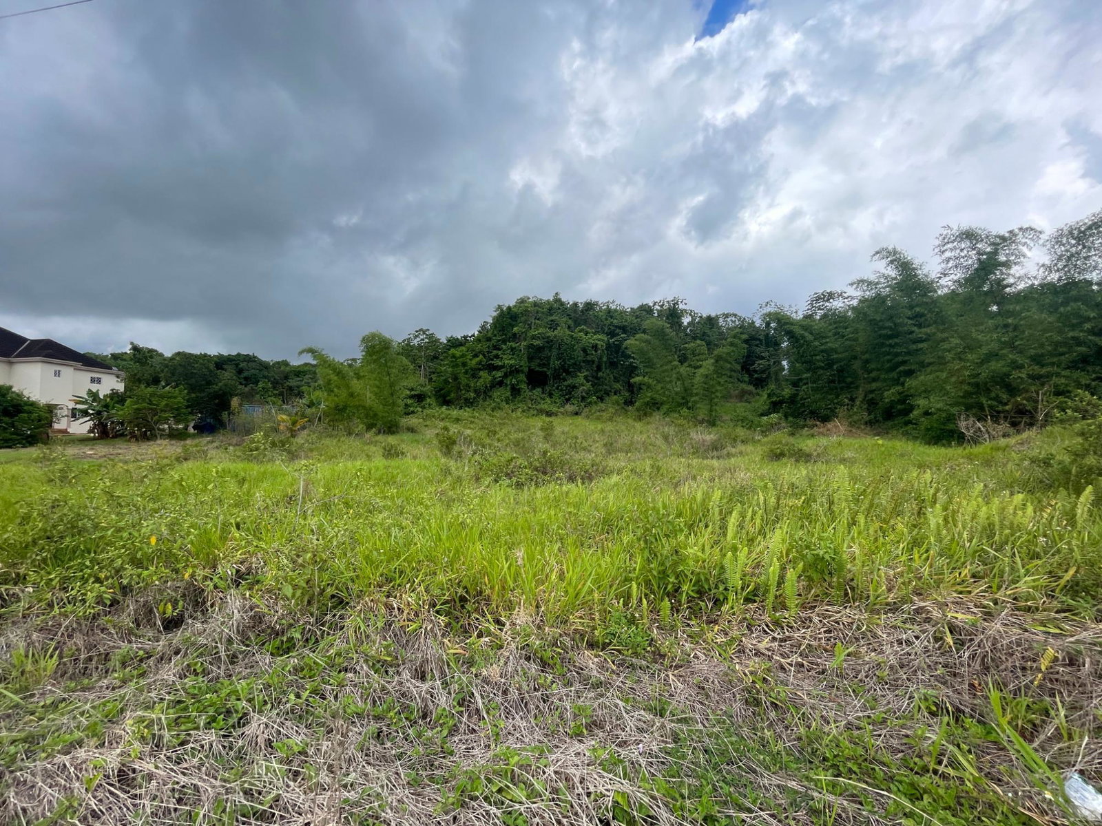Residential-Lot-for-Sale-in-Newark-Estate-Manchester-Build-Your-Dream-Home Sixth image of 342 Newark Grove, Spur Tree in Spur Tree, Manchester, Jamaica - property is For Sale