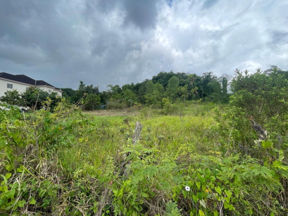 First image of 342 Newark Grove, Spur Tree in Spur Tree, Manchester, Jamaica - property is For Sale