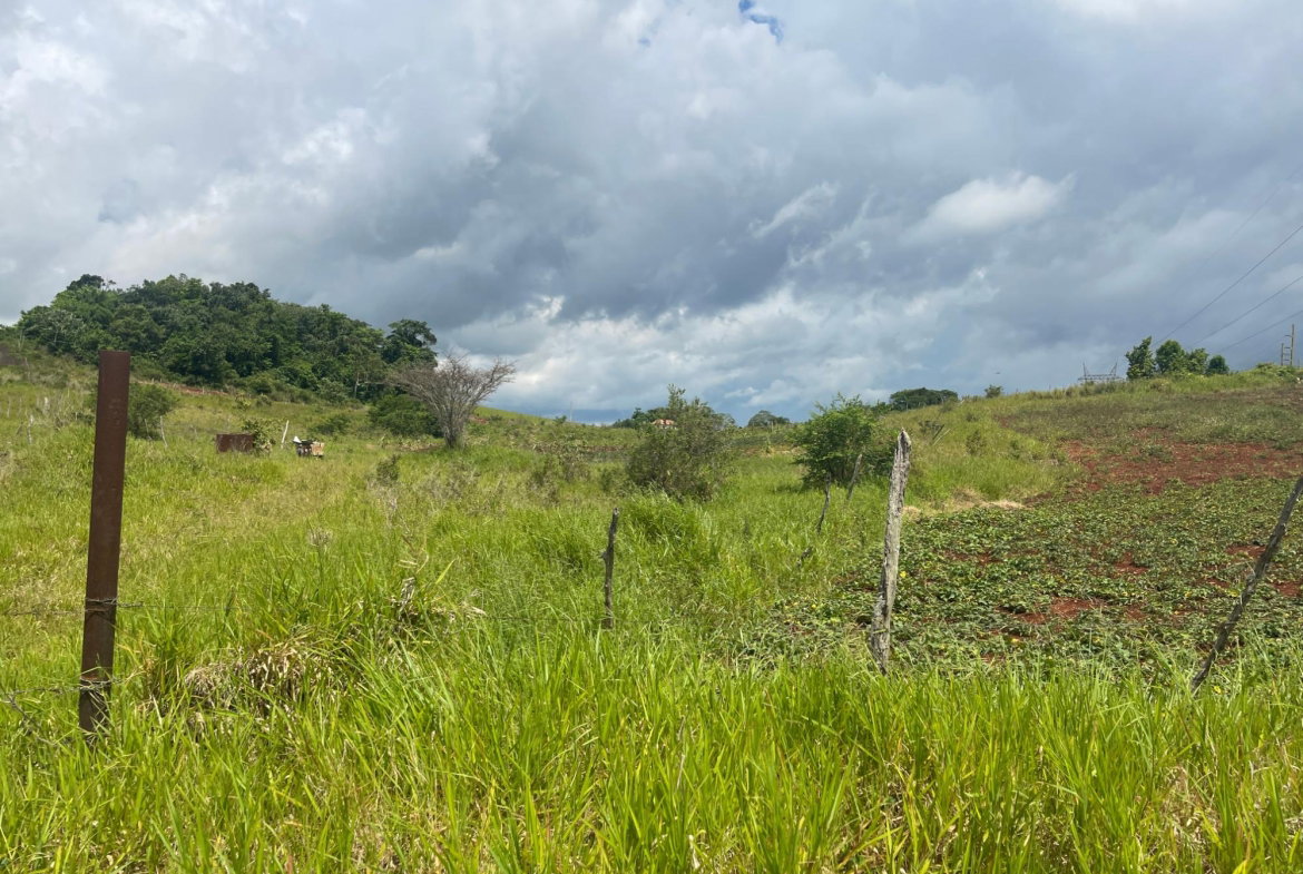 First image of 357 Newark Pen, Spur Tree in New Hark Estate, Manchester, Jamaica - property is For Sale