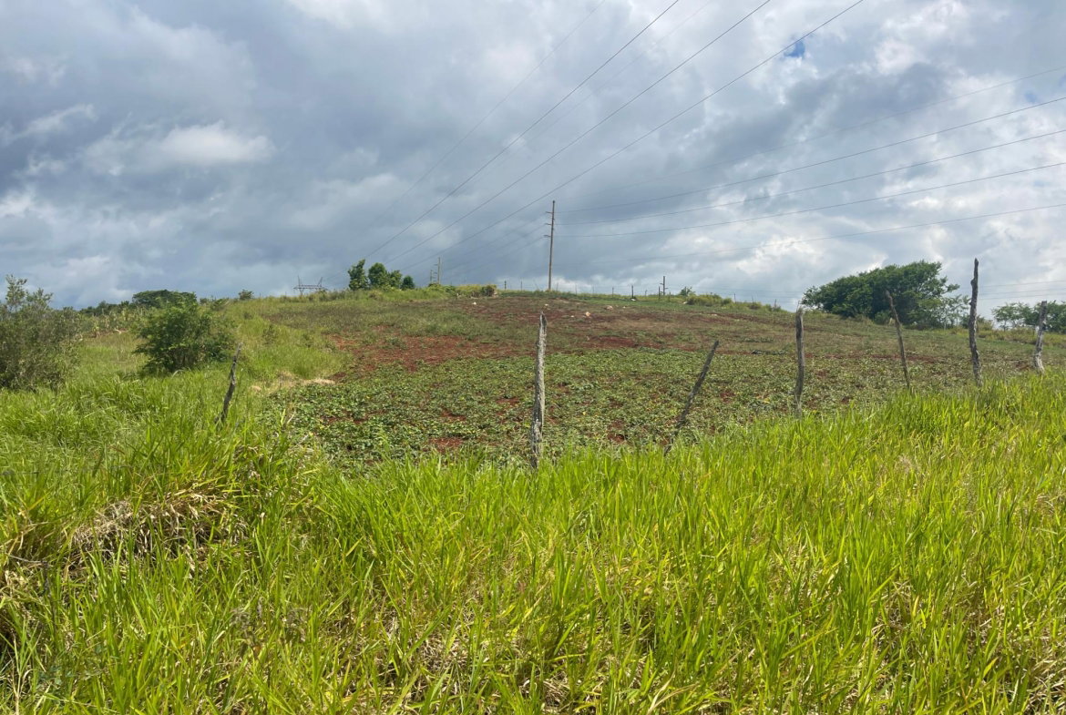 Fourth image of 357 Newark Pen, Spur Tree in New Hark Estate, Manchester, Jamaica - property is For Sale