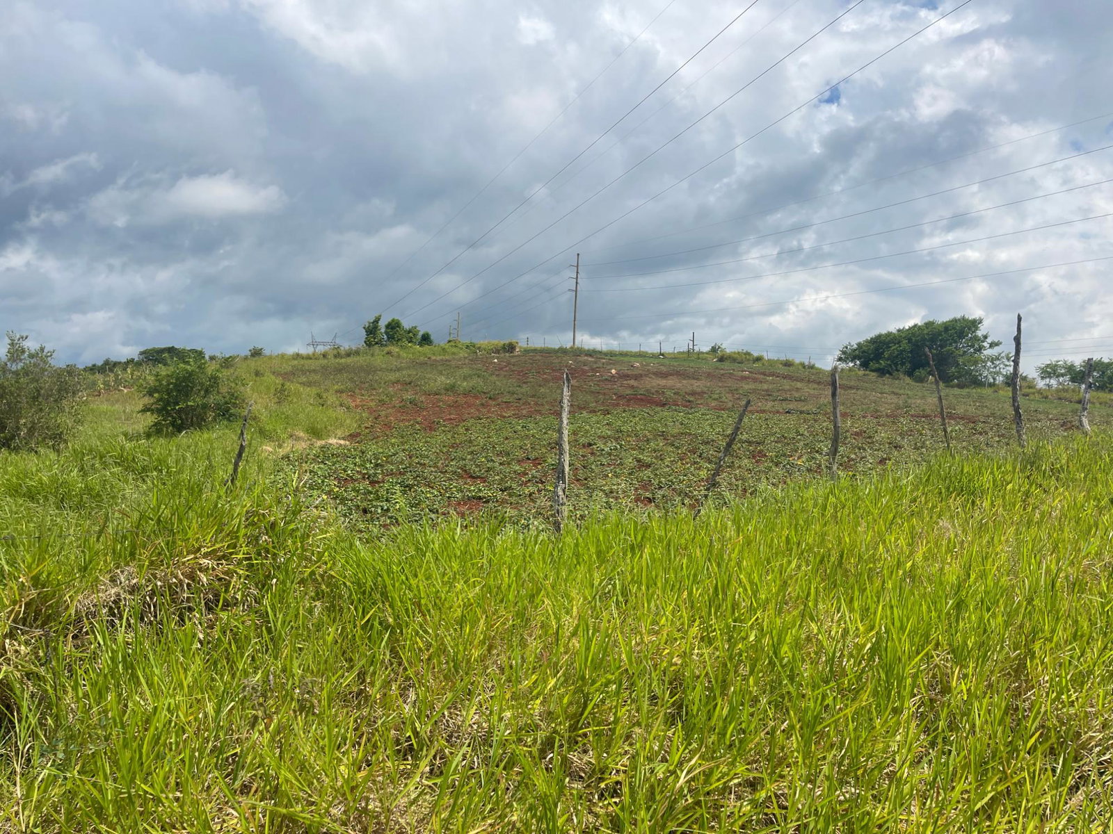 Fourth image of 357 Newark Pen, Spur Tree in New Hark Estate, Manchester, Jamaica - property is For Sale