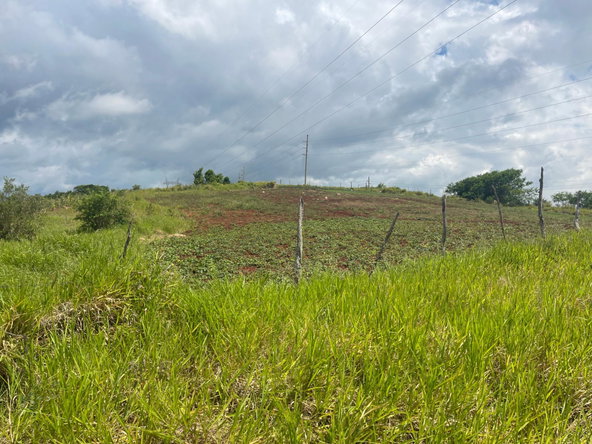 Fourth image of 357 Newark Pen, Spur Tree in New Hark Estate, Manchester, Jamaica - property is For Sale