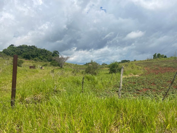 First image of 357 Newark Pen, Spur Tree in New Hark Estate, Manchester, Jamaica - property is For Sale