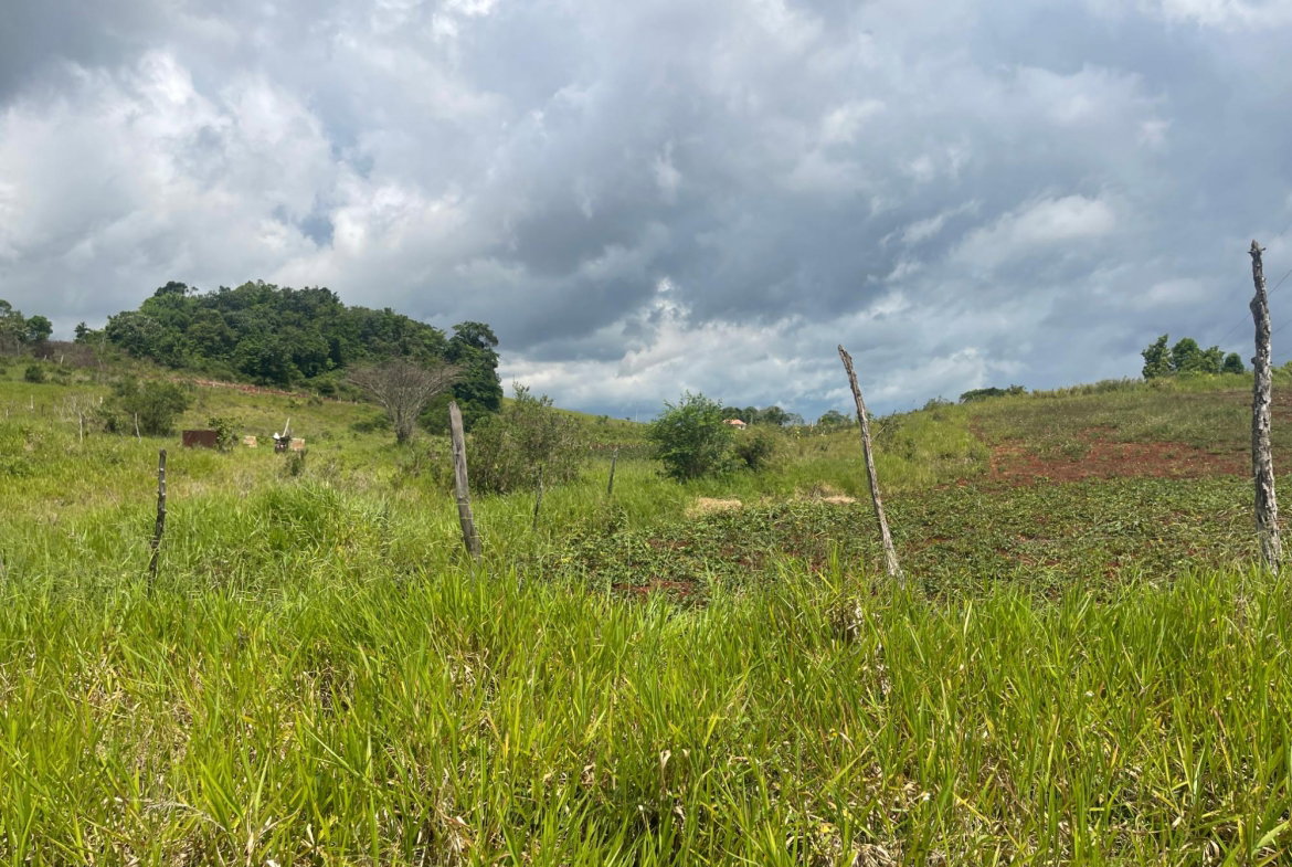Seventh image of 357 Newark Pen, Spur Tree in New Hark Estate, Manchester, Jamaica - property is For Sale