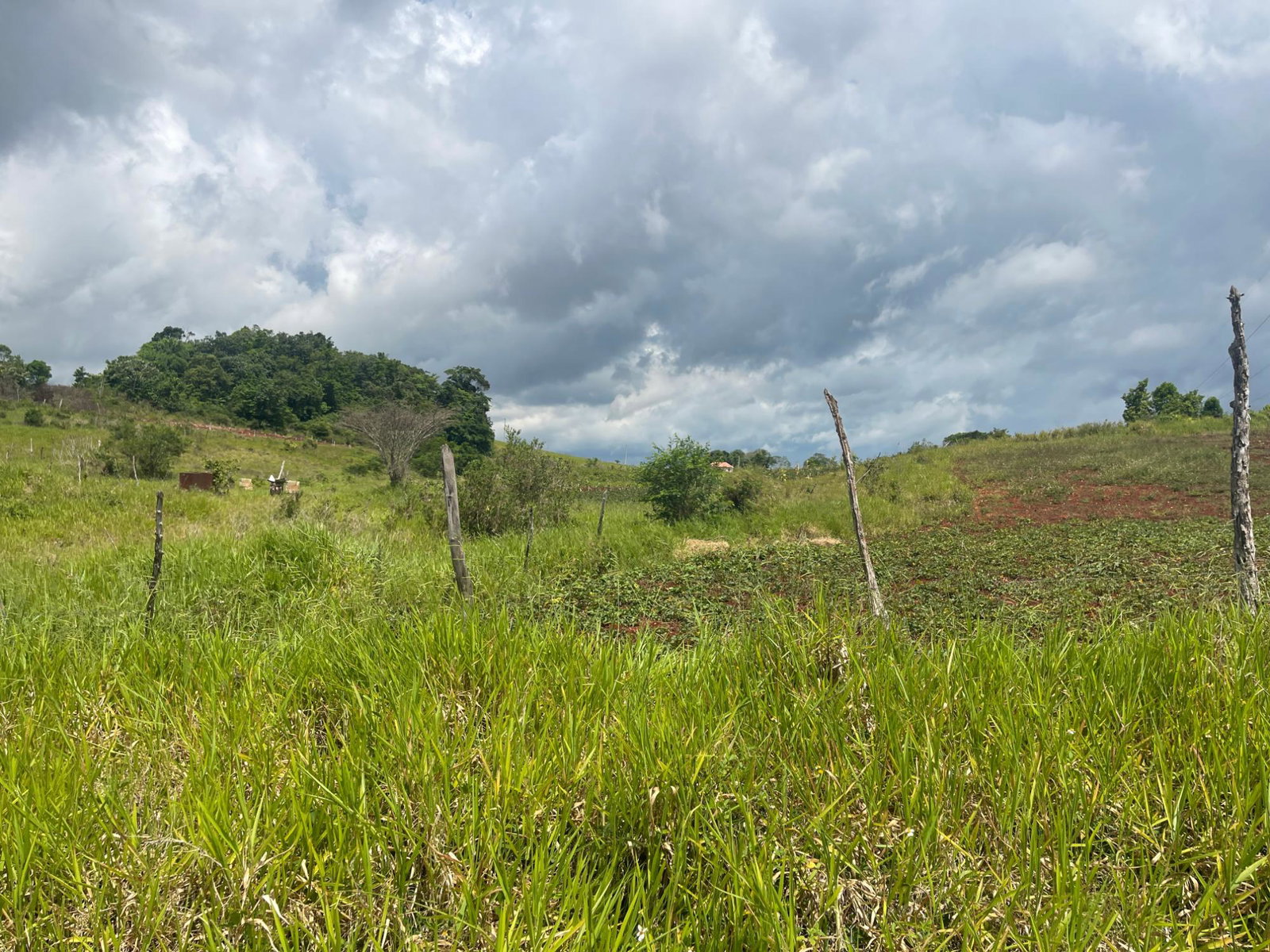 Seventh image of 357 Newark Pen, Spur Tree in New Hark Estate, Manchester, Jamaica - property is For Sale