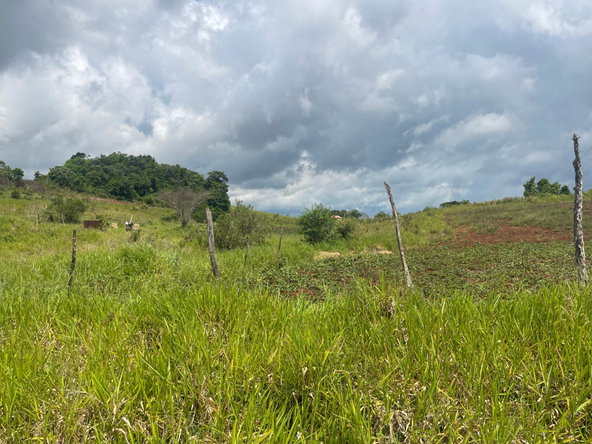 Seventh image of 357 Newark Pen, Spur Tree in New Hark Estate, Manchester, Jamaica - property is For Sale