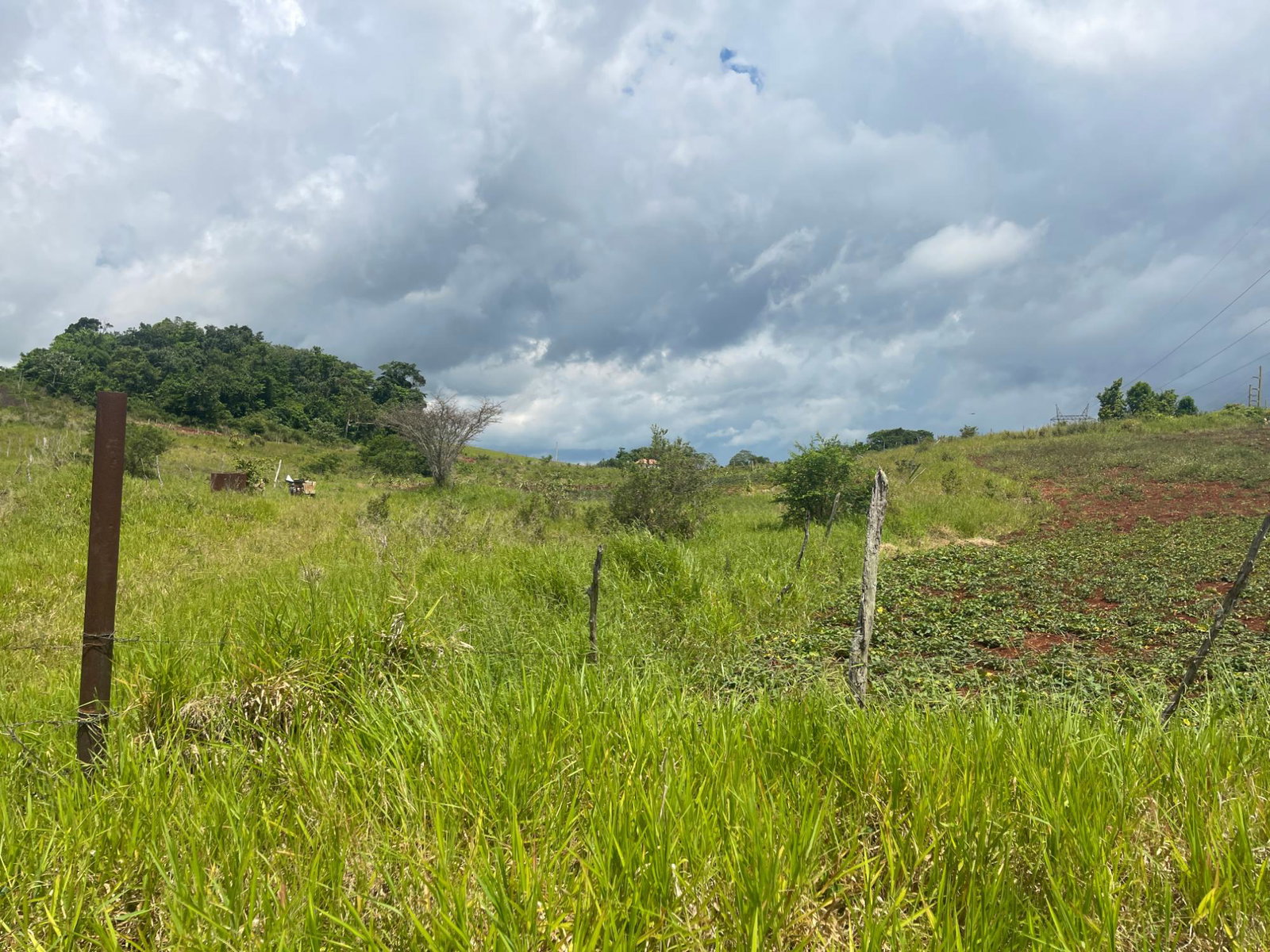 First image of 357 Newark Pen, Spur Tree in New Hark Estate, Manchester, Jamaica - property is For Sale