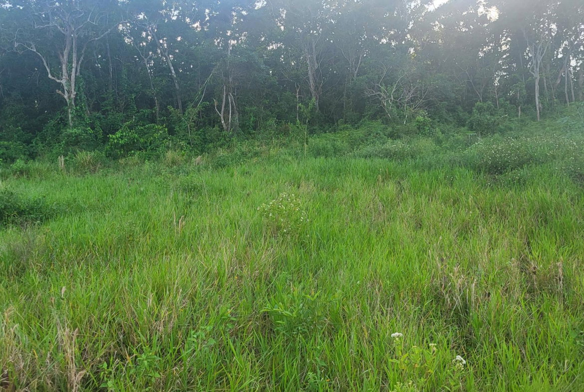 Second image of 419 Newark Grove in Spur Tree, Manchester, Jamaica - property is For Sale