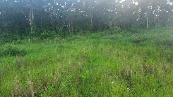 Second image of 419 Newark Grove in Spur Tree, Manchester, Jamaica - property is For Sale
