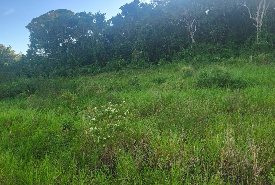 First image of 419 Newark Grove in Spur Tree, Manchester, Jamaica - property is For Sale