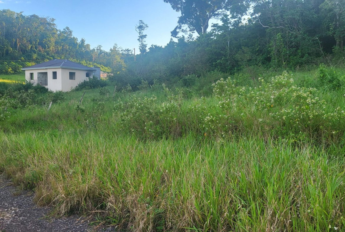 Third image of 419 Newark Grove in Spur Tree, Manchester, Jamaica - property is For Sale