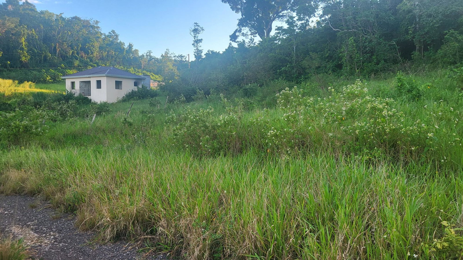 Residential-Lot-for-Sale-in-Newark-Grove-Manchester-Ideal-for-Dream-Home-or-Development Third image of 419 Newark Grove in Spur Tree, Manchester, Jamaica - property is For Sale