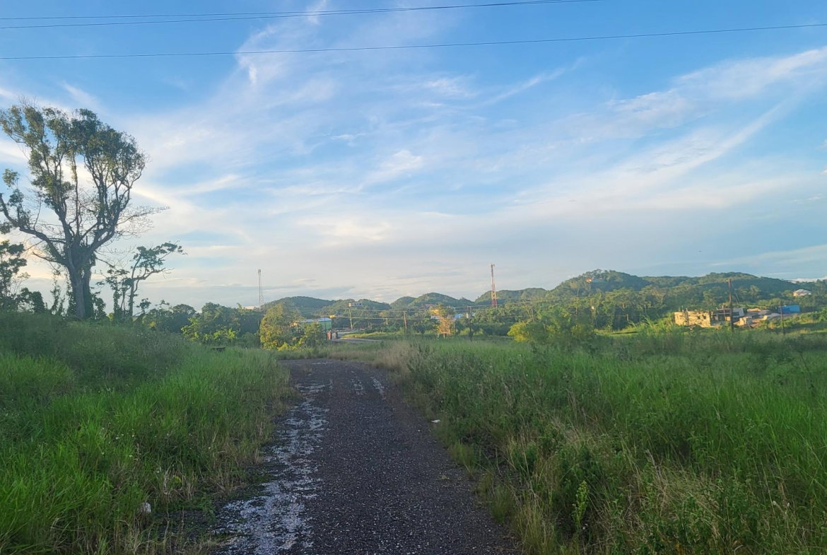Sixth image of 419 Newark Grove in Spur Tree, Manchester, Jamaica - property is For Sale