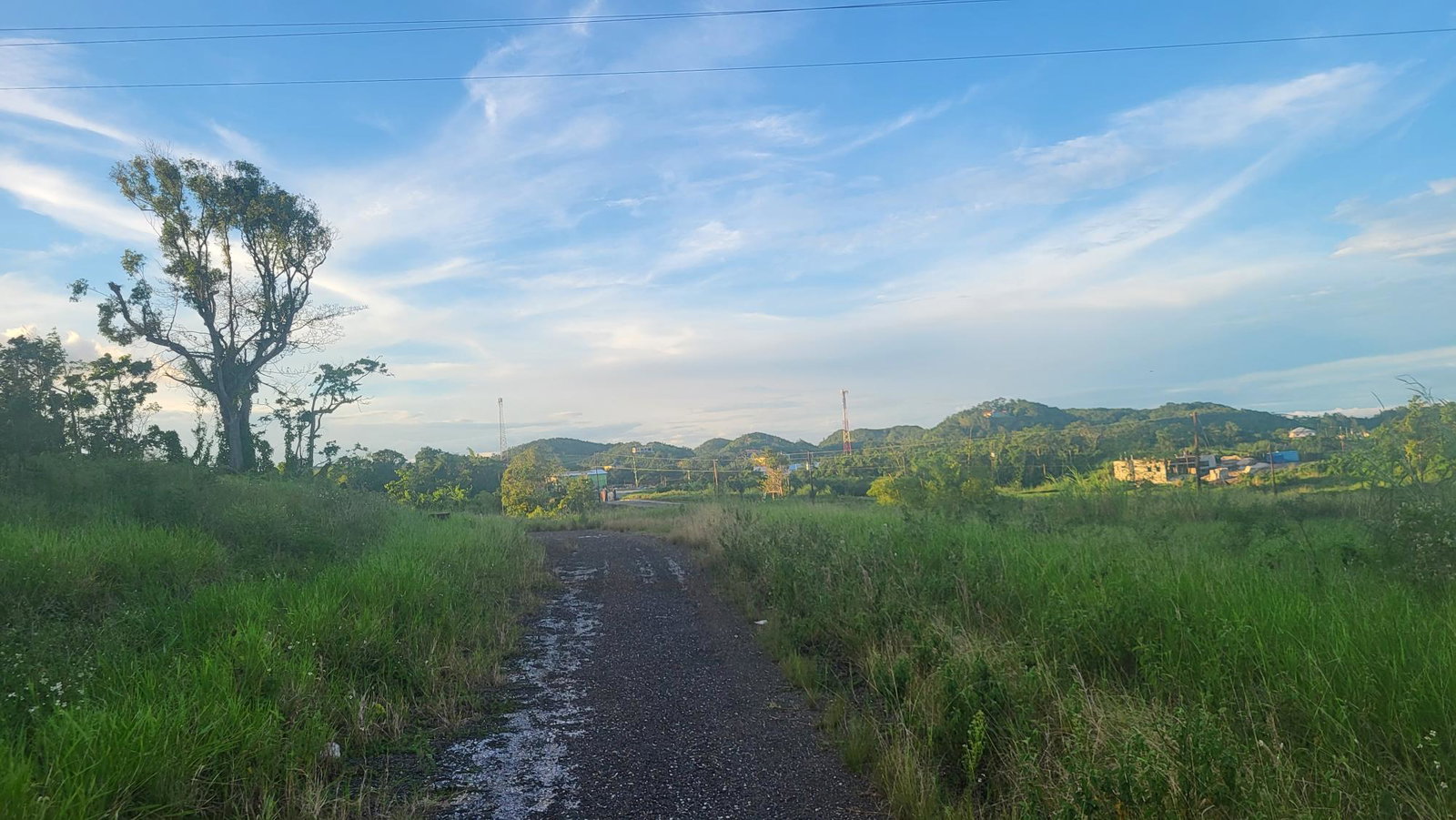 Residential-Lot-for-Sale-in-Newark-Grove-Manchester-Ideal-for-Dream-Home-or-Development Sixth image of 419 Newark Grove in Spur Tree, Manchester, Jamaica - property is For Sale