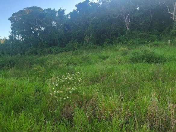 First image of 419 Newark Grove in Spur Tree, Manchester, Jamaica - property is For Sale