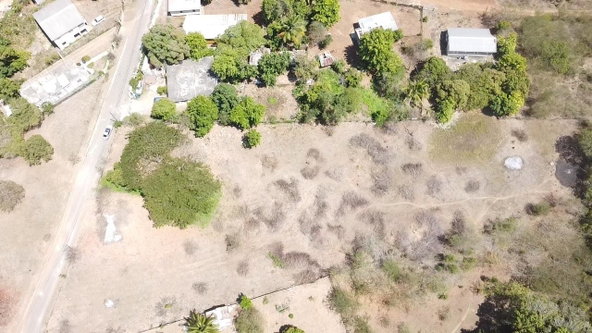 Thirteenth image of Lot-55 Palmetto Pen in Palmetto Pen, Clarendon, Jamaica - property is For Sale