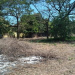 First image of Lot-55 Palmetto Pen in Palmetto Pen, Clarendon, Jamaica - property is For Sale
