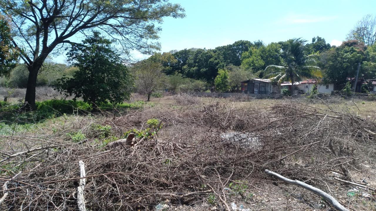 Nineteenth image of Lot-55 Palmetto Pen in Palmetto Pen, Clarendon, Jamaica - property is For Sale