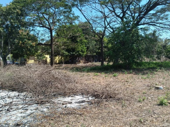 First image of Lot-55 Palmetto Pen in Palmetto Pen, Clarendon, Jamaica - property is For Sale